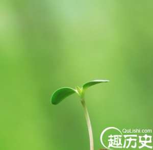 立春有哪些习俗？盘点立春抢春的九大习俗