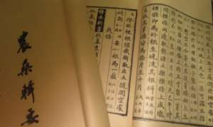 《农桑辑要》：孳畜·马驴骡附 全文及翻译注释
