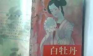 《白牡丹》第二十六回：李通有意战人敌　桂金无心擒宇瑞