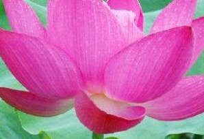易经的明夷卦六四“获明夷之心”是什么意思？怎么理解？