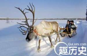鄂温克族文化 独特的鄂温克族驯鹿文化