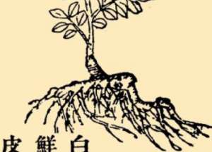 本草纲目·第八卷·草部·白鲜具体内容是什么？