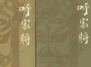 呼家将第十三回：庞总兵钦召进京，赵大郎演习兵法