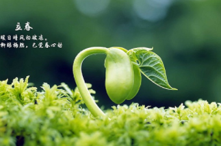 什么是“绝日子”？为什么立春之前一天叫“绝日子”？