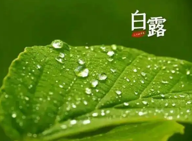 白露：秋季的第三个节气，此时一年中昼夜温差最大