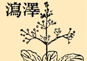 本草纲目·第八卷·草部·泽泻具体内容是什么？