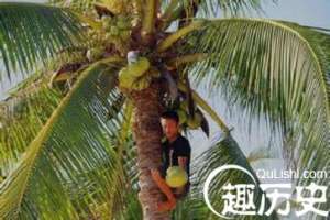 黎族与吃有关的食物是啥？又有何历史由来