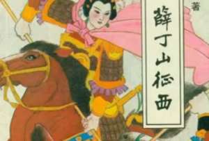 薛丁山征西第46回：梨花大破白虎关，应龙飞马斩杨藩