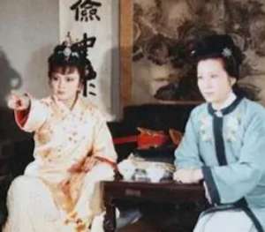红楼梦是如何描写人物的-有哪些词语-