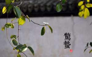 二十四节气中的“惊蛰”的由来是什么？又会有哪些气候变化呢？