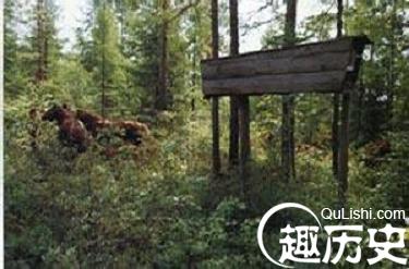 珞巴族丧葬习俗 珞巴族的树葬是怎样的
