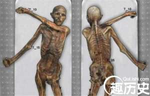 5300年前就有纹身-最古老纹身在冰人奥茨身上