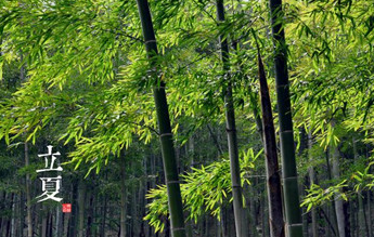 二十四节气中的“立夏”的由来是什么？又会有哪些气候变化呢？