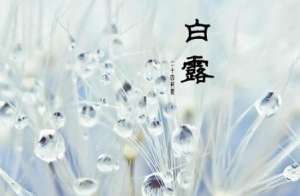 为什么说“喝了白露水，蚊子闭了嘴”？白露之后是不是真的没有蚊子了？