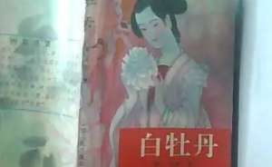 《白牡丹》第三十回：全节义父女相逢　捉渠魁忠良奏绩