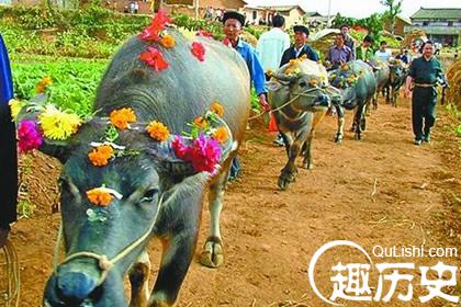 仡佬族节日  仡佬族的牛王节有什么特色