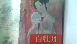 《白牡丹》第六回：刘瑾毒谋收文府　李通巧计醉狂奴