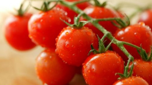 圣女果为什么叫圣女果？这个名字的由来是什么？