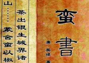 史书《蛮书》卷六原文记载了哪些内容？