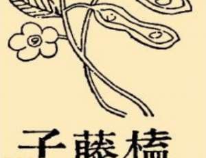 本草纲目·第八卷·草部·榼藤子具体内容是什么？