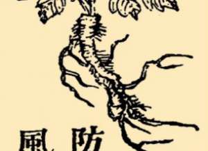 本草纲目·第八卷·草部·防风原文是什么内容？