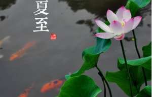 夏至适合吃什么？不适合吃什么