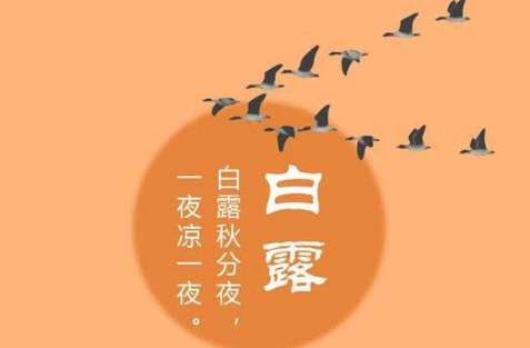 2018年白露是哪一天？白露具体时间是几月几号？
