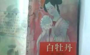 《白牡丹》第二十七回：士成会婿知女信　李通怜才劝投诚