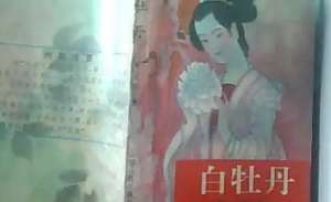 《白牡丹》第四十一回：吹玉笛取笑渔姑　拾金钗调戏凤姐