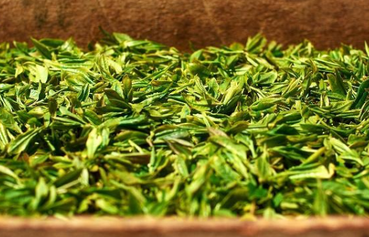 中国茶文化历史源远流长，陆羽是怎么推动茶文化发展的？