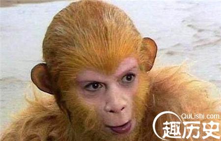 趣闻：水帘洞是如来偷偷给大圣的礼物？