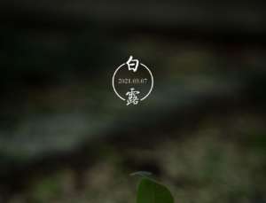 白露节气时应该吃些什么？有哪些相关诗作？