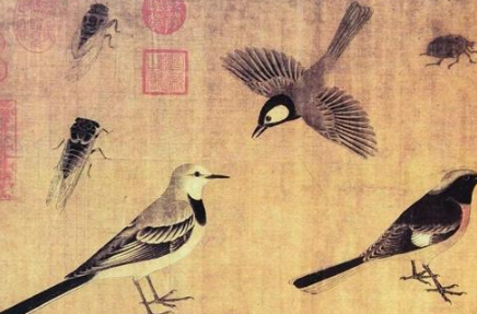 “写生珍禽图”画了哪些东西？“写生珍禽图”是属于什么流派的画作？