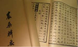《农桑辑要》：竹木·诸树 全文及翻译注释