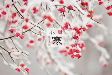 今年“小寒”是什么时候？“小寒”的典故和腊八粥的由来！