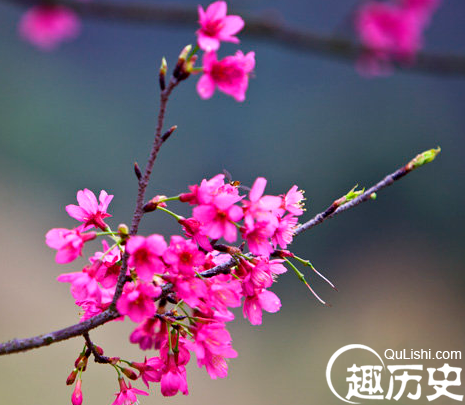 立春有哪些习俗？盘点立春抢春的九大习俗
