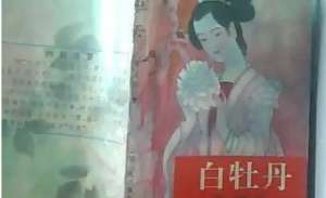 《白牡丹》第四十六回：江流获赦超苦海　凤姐自误丧黄泉