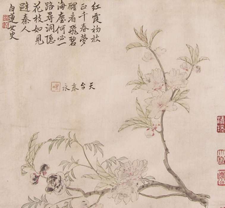 白莲居士是谁？清代女画家方婉仪与她的诗画艺术