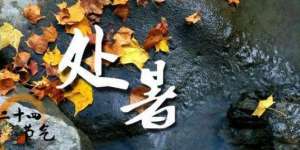 今日处暑话养生，处暑有哪些习俗吃什么最好？