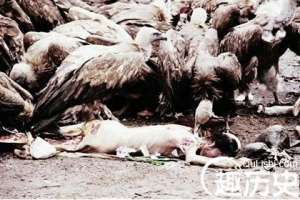 藏族习俗  探秘古老而神秘的藏族天葬