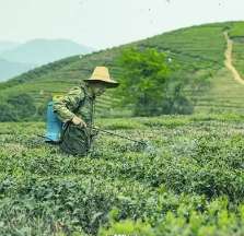 “五·一”国际劳动节是何起源？有着什么样的故事