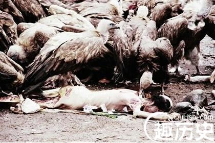 藏族习俗  探秘古老而神秘的藏族天葬