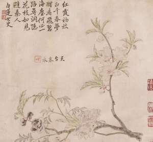 白莲居士是谁？清代女画家方婉仪与她的诗画艺术