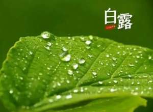 白露：秋季的第三个节气，此时一年中昼夜温差最大