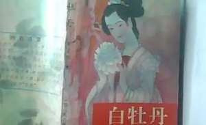 《白牡丹》第二十三回：匪徒贪美色遭殃　奸盗谋重权造反