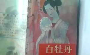《白牡丹》第二十五回：功折罪梦雄呈信　将假监李通偷图