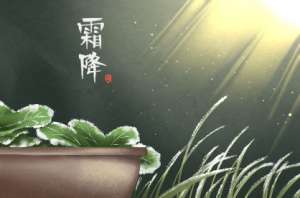 霜降的降是什么意思？霜降和霜冻意思有什么差别？
