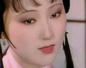 红楼梦中黛玉从不劝解宝玉读书，是因为什么？