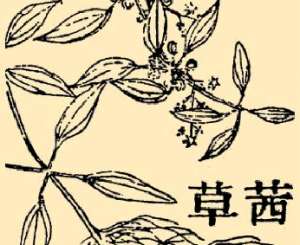 本草纲目·第八卷·草部·茜草具体内容是什么？