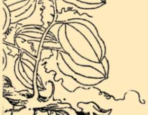 本草纲目·第八卷·草部·萆薢原文是什么内容？